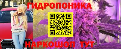 гидропоника Анжеро-Судженск