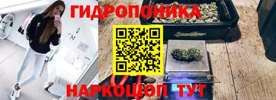 гидропоника Анжеро-Судженск